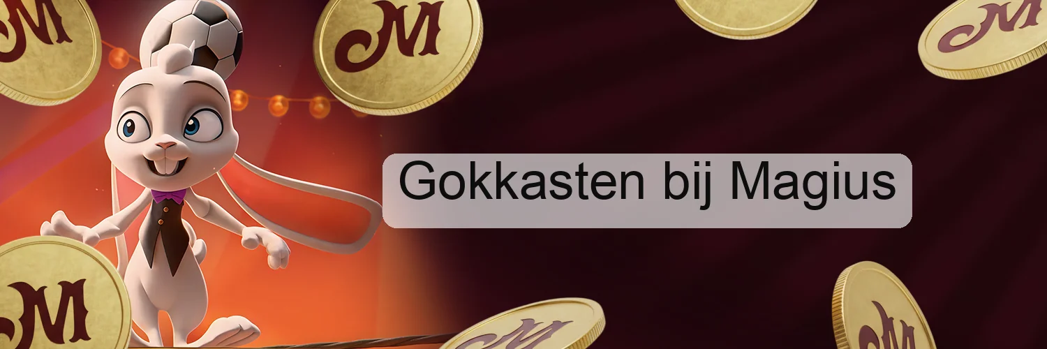 Gokkasten bij Magius Gokkasten bij Magius