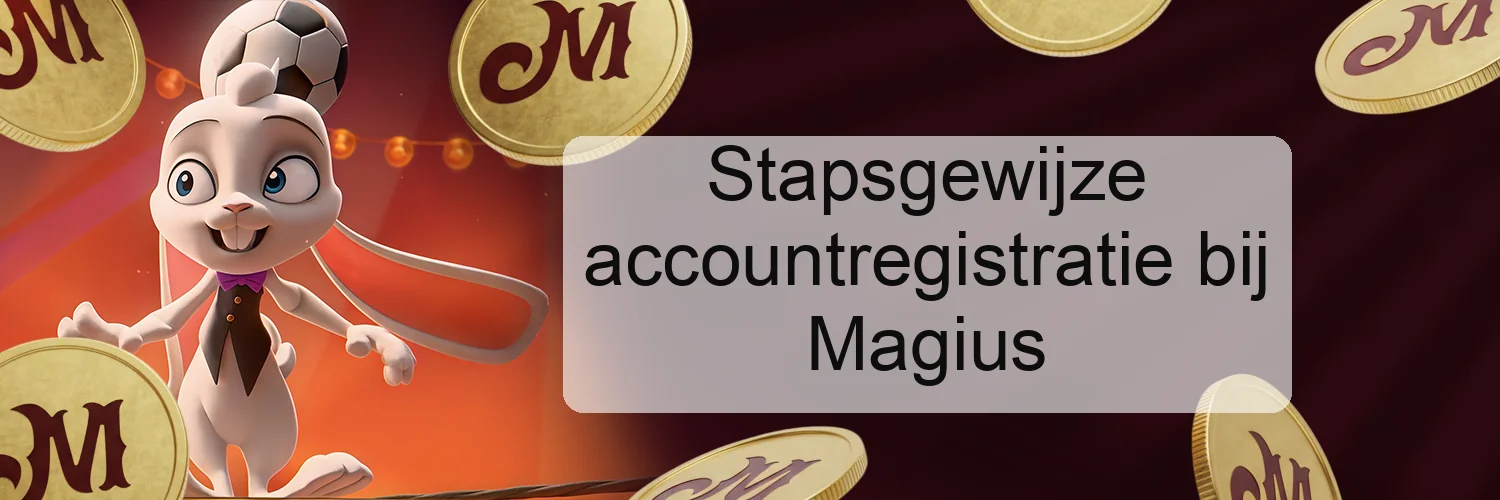 Stapsgewijze accountregistratie bij Magius Stapsgewijze accountregistratie bij Magius